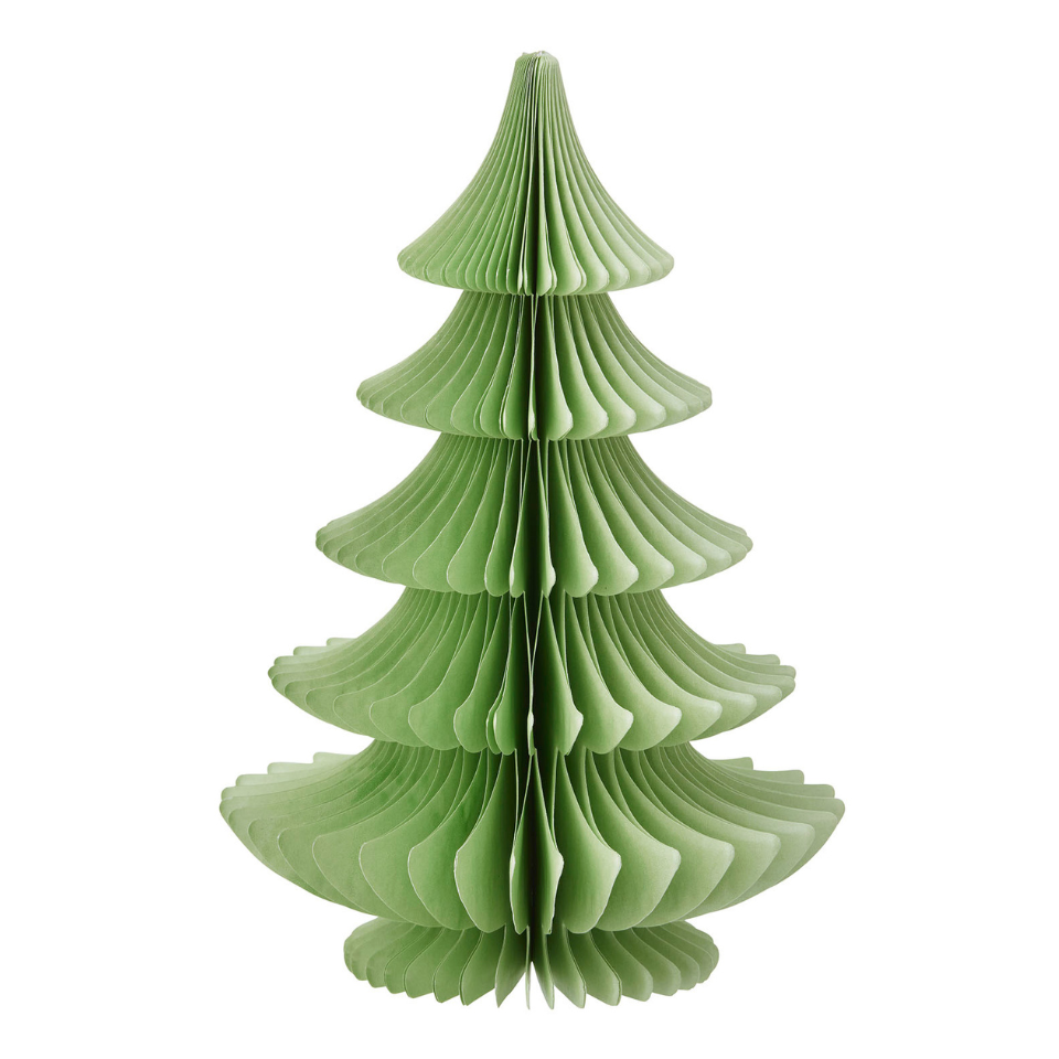 Paper Tree Evergreen Ming