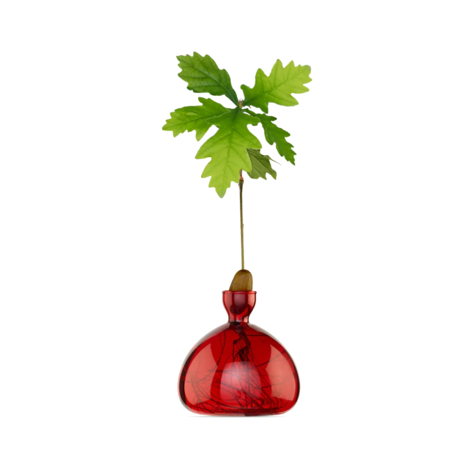 Acorn Vase - Red