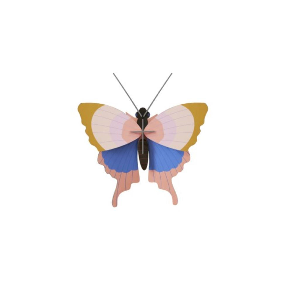 Studio Roof - Small Gold Rim Butterfly