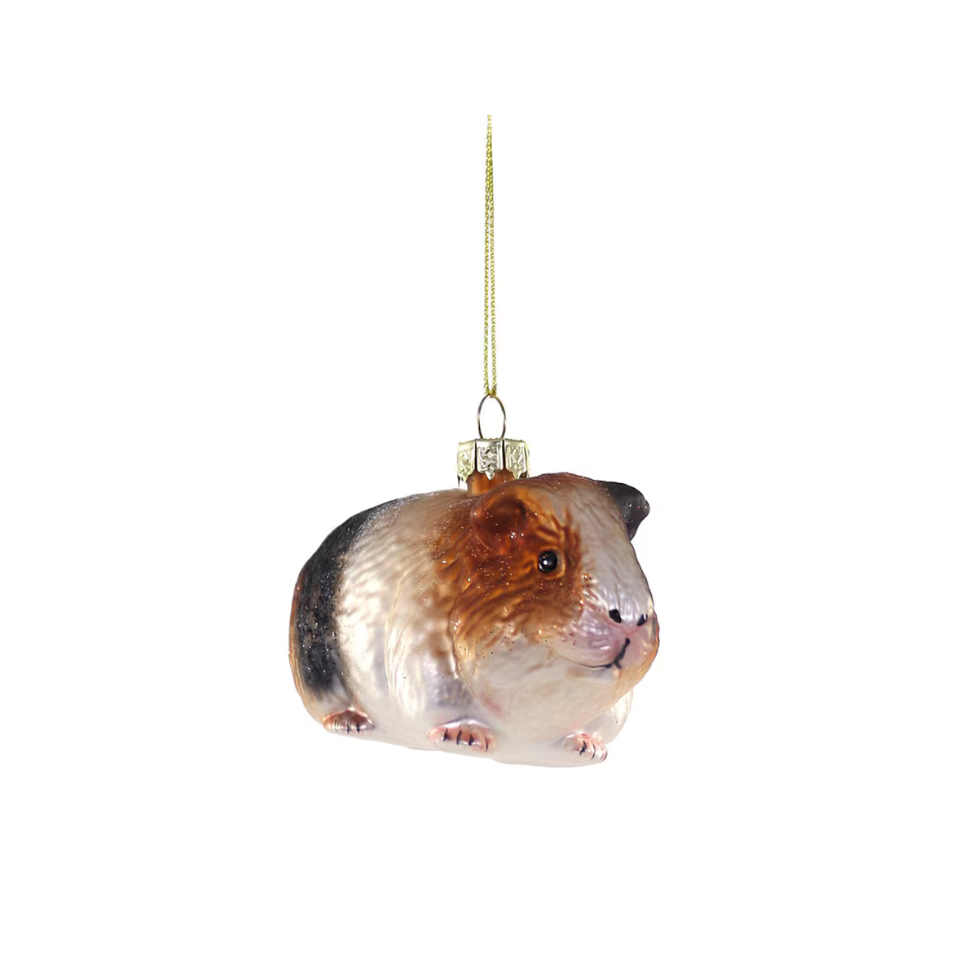 Guinea Pig Decoration