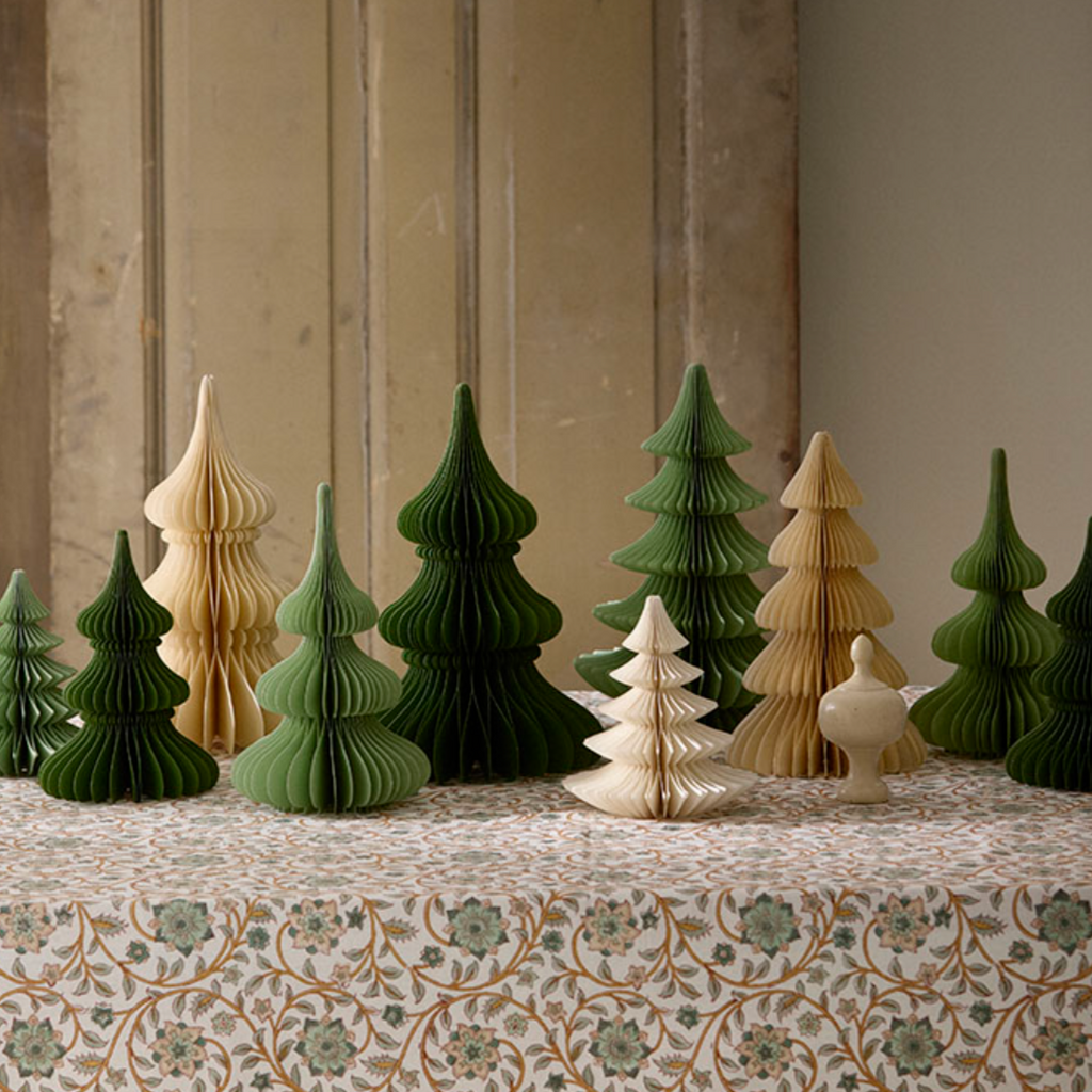 Paper Tree Evergreen Ming