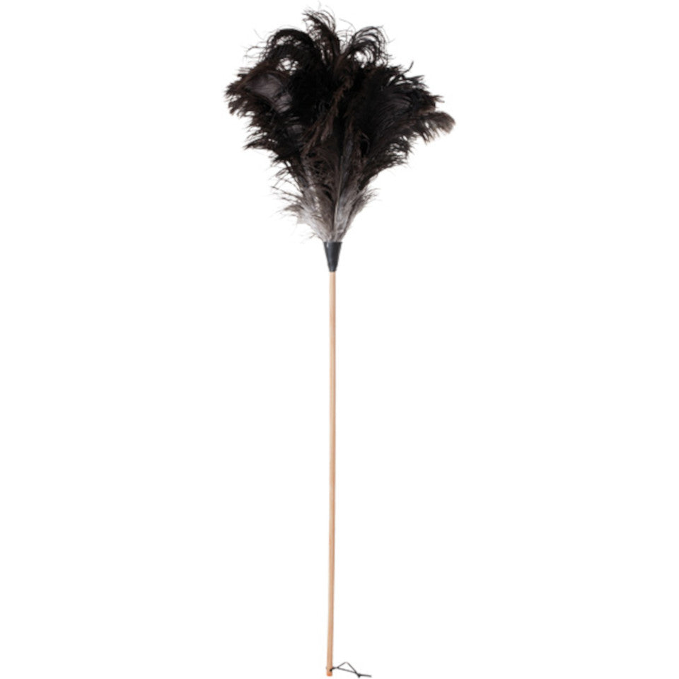 110 cm ostrich feather duster, untreated beechwood handle.