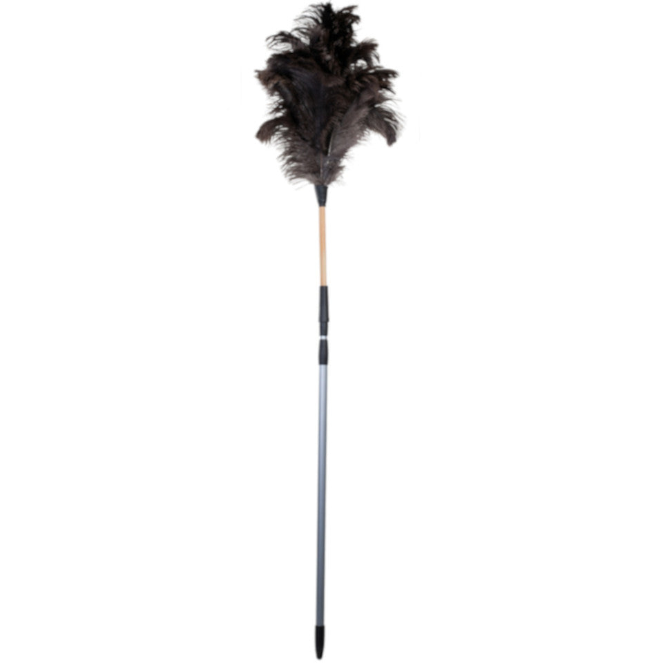 150 cm to 220 cm ostrich feather duster, untreated beechwood and plastic extendable handle.