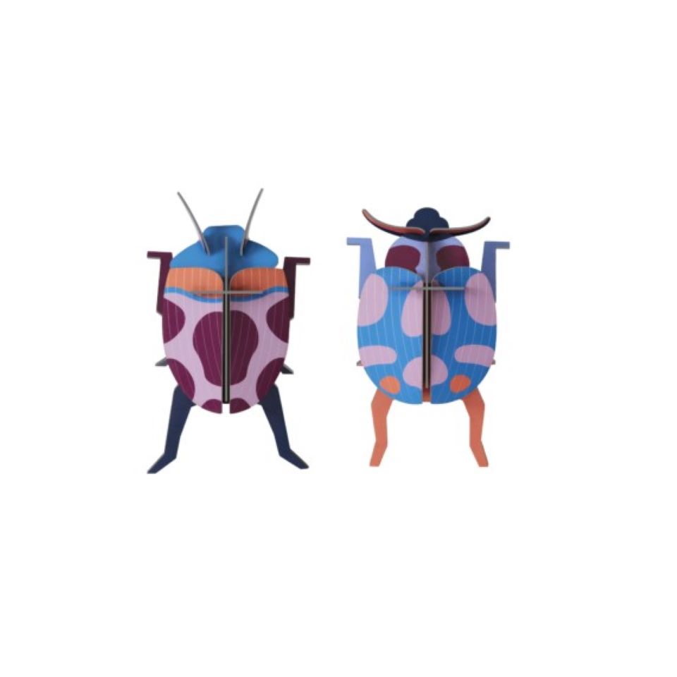 Beetle Wall Decoration set of 2