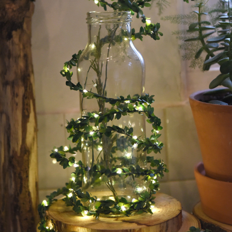 Greenery light chain - battery operated, styled wrapped around a glass bottle.