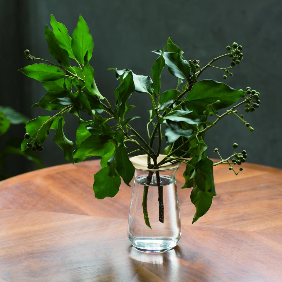 Luna large glass vase with brass collar, styled with foliage.