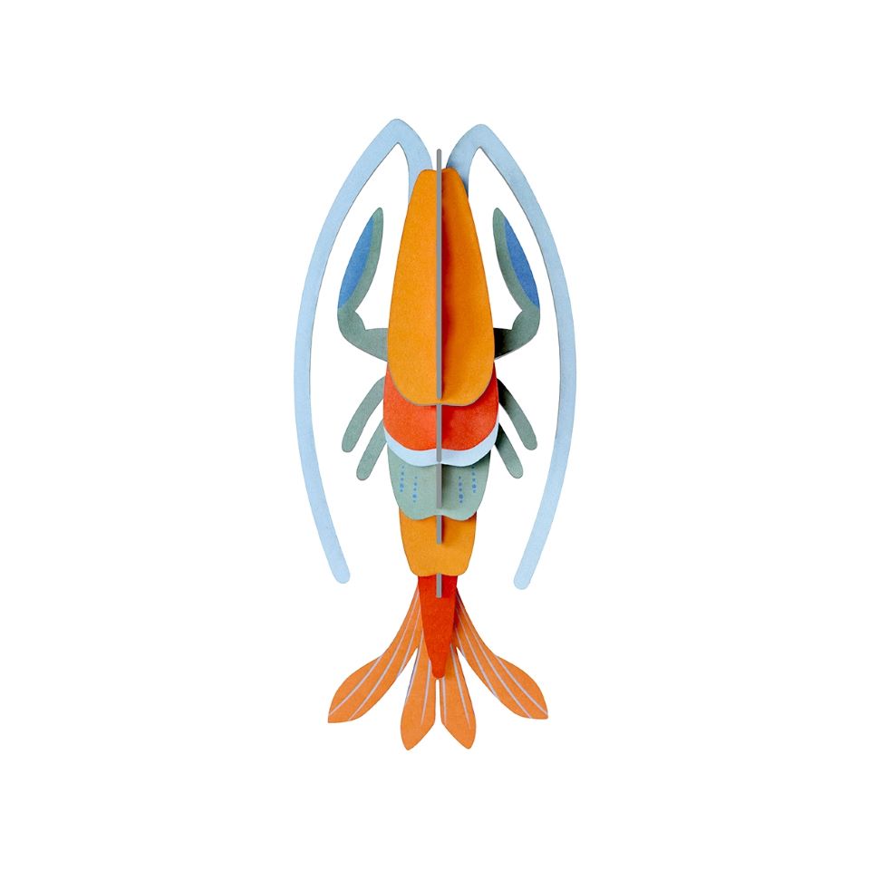 Sea Creatures-Pomelo Shrimp