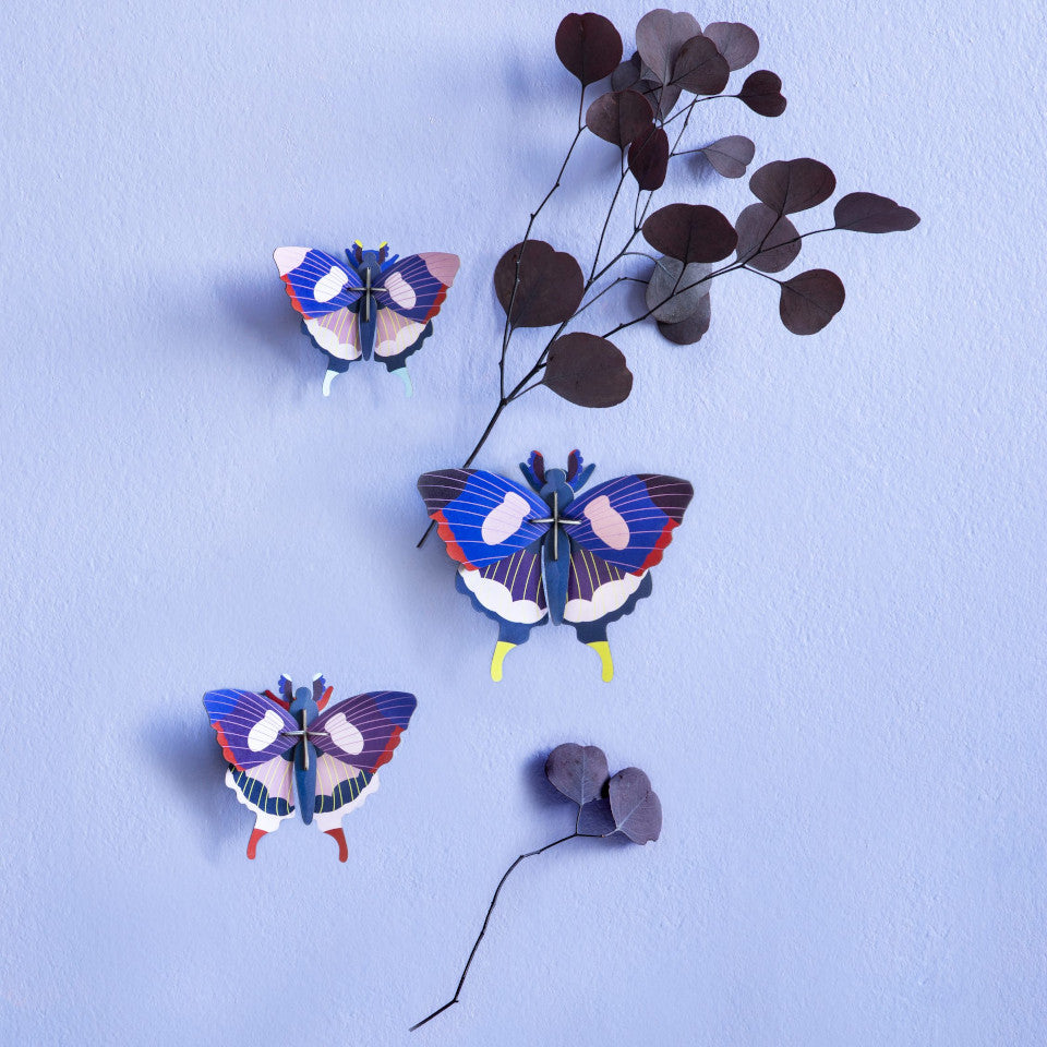 Swallowtail butterfly wall decoration, set of 3, styled on a pale blue wall with dried leaves.