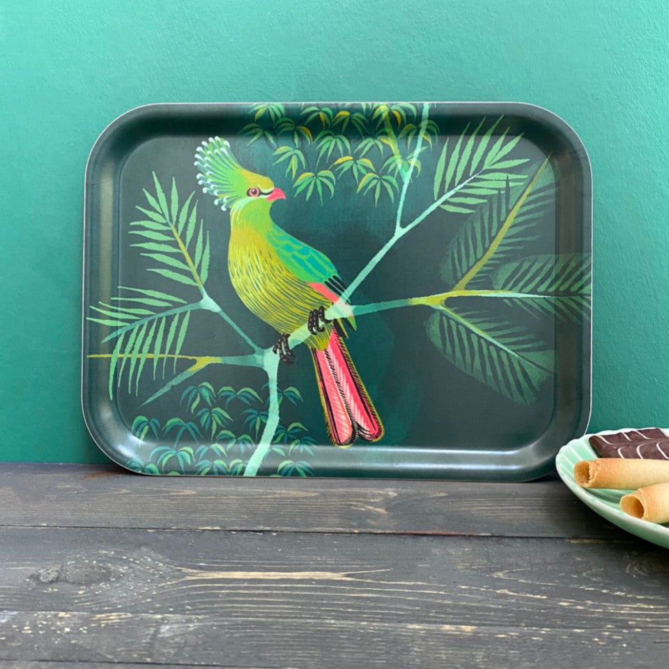Turaco by Asta Barrington, turaco on tropical tree branch on green background, 27x20 cm small rectangular tray, styled leaning against a turquoise painted wall with a plate of biscuits.